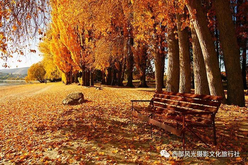 知道正方体的底面积求棱长游戏画面